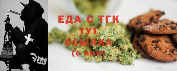 индика Надым