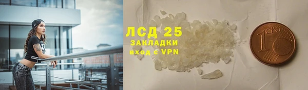 ПСИЛОЦИБИНОВЫЕ ГРИБЫ Слюдянка