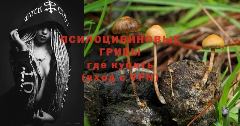 Псилоцибиновые грибы MAGIC MUSHROOMS  omg зеркало  Лодейное Поле  закладки 